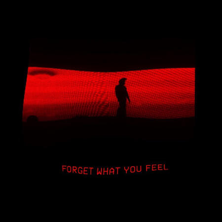 this is a black and red aesthetic image with text that says 'forget what you feel'